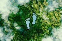 Der persönliche CO₂- und ökologische Fußabdruck – wie kann man sie verkleinern