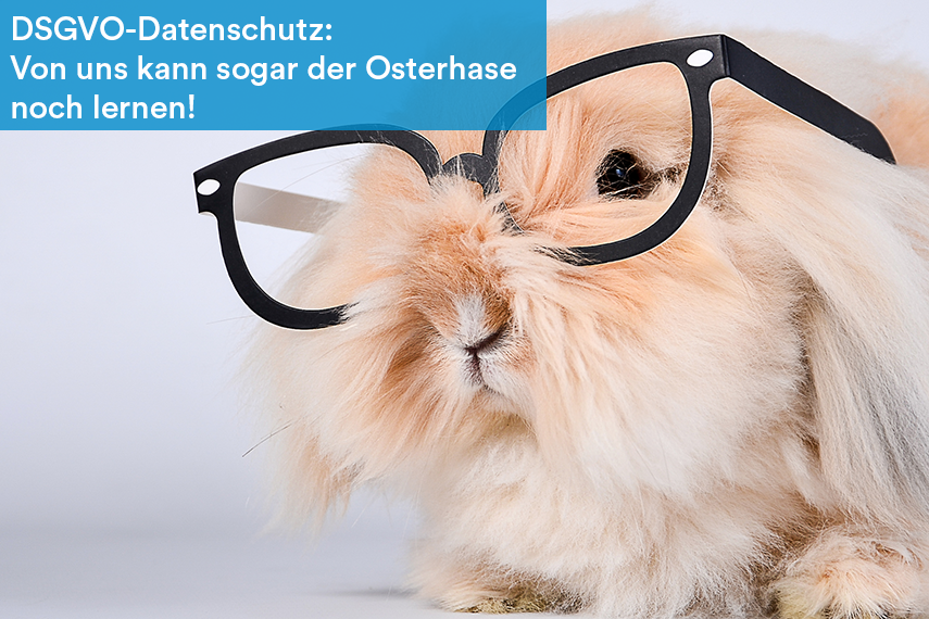 DSGVO-_Von_uns_kann_sogar_der_Osterhase_noch_lernen
