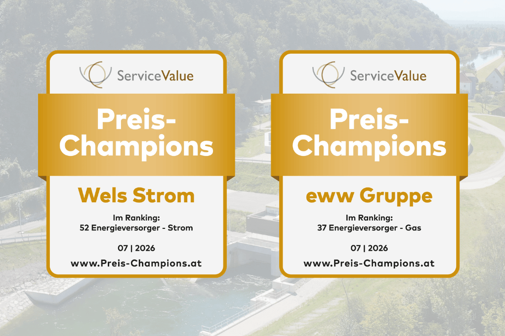 Siegel Wels Strom und eww Gruppe 2026