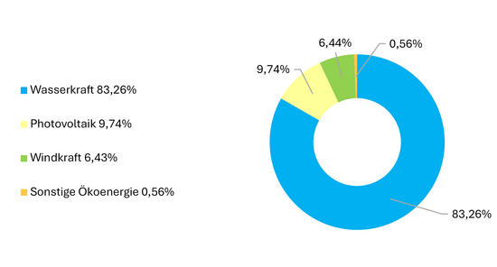 Stromherkunft Wels Strom 2024