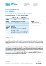 Preisblatt Privat Strom SPOT