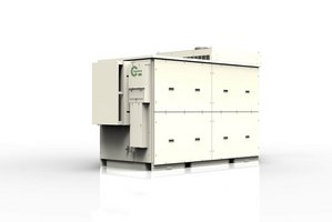 Mikrogastrubine Mikrogastrubine