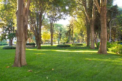 Entsiegelte Parkflächen Stadt Entsiegelte Parkflächen Stadt