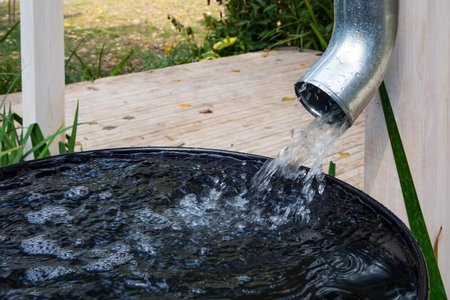 Regenwasser in Tonne sammeln Regenwasser in Tonne sammeln