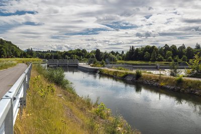 Ökosystem Fluss Traun