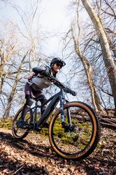 Dagmar Fahrrad eww Dagmar Fahrrad eww