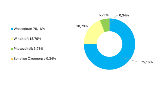 Stromherkunft Wels Strom Öko 2024